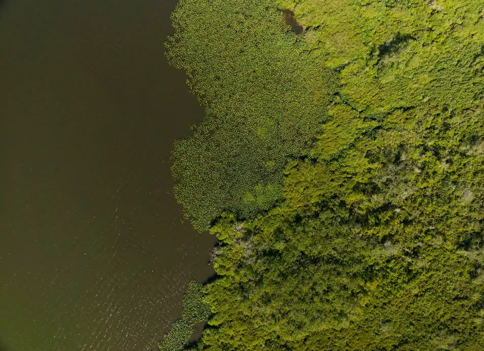 Aerial view of coastal climate landscape