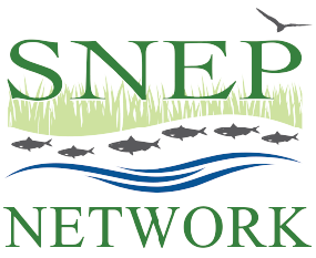 SNEP Network logo